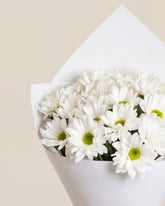 Simply White Posy